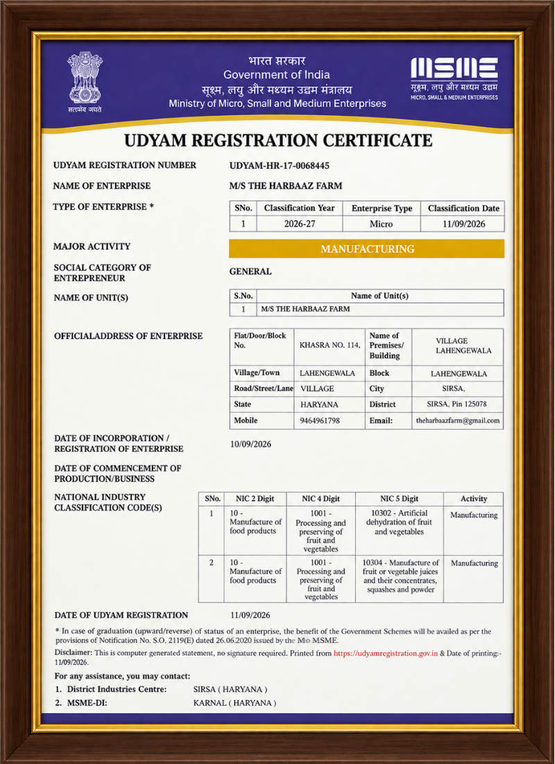 Udyam Registration Certificate